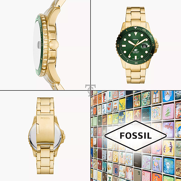 FOSSIL FS6030 portré kép