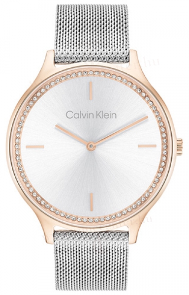 Calvin Klein CK25100006 karóra