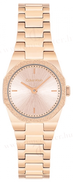 Calvin Klein CK25100143 karóra