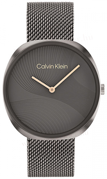 Calvin Klein CK25200248 karóra