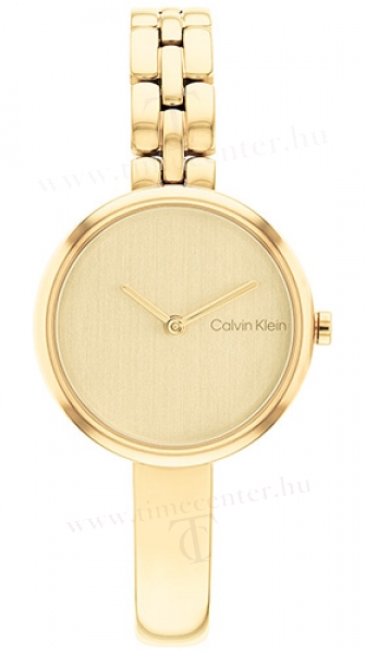 Calvin Klein CK25200279 karóra
