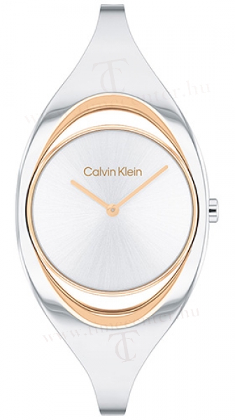 Calvin Klein CK25200424 karóra